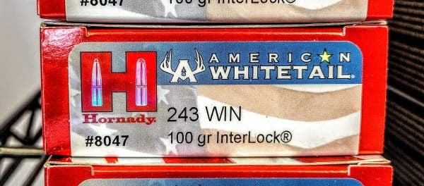 Hornady AMerican Whitetail 243 Win 100 Grain IL - SP 20/ct