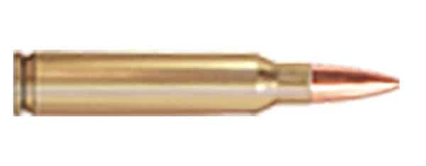 Prvi Partizan PRM5561P 5.56x45mm NATO - 55 Grain | FMJ | 20/Ct